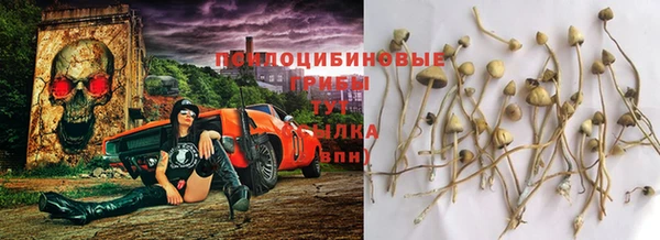 spice Абинск