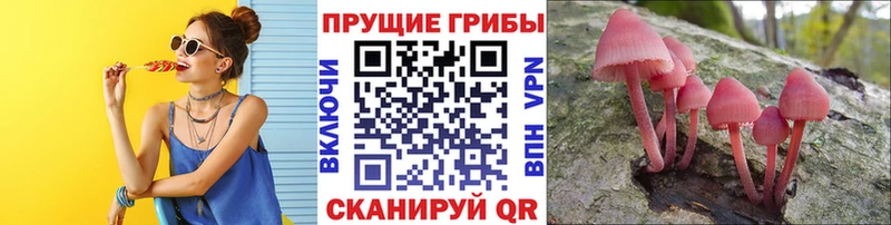 Галлюциногенные грибы MAGIC MUSHROOMS  KRAKEN рабочий сайт  Елизаветинская 
